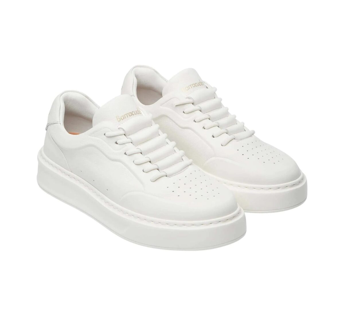 Sneakers Phoenix Barracuda Donna 1 Sneakers Phoenix Barracuda Donna In Pelle Bianca Dettagli Frontali BD1415A